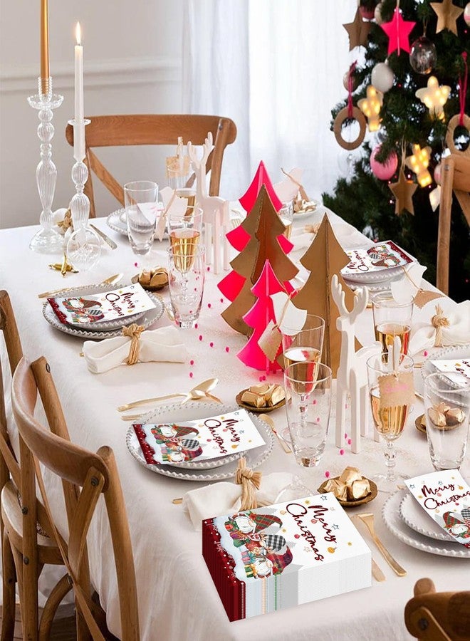 IANFEPH 100PCS Christmas Napkins Disposable 3 Ply Winter Christmas Gnome Paper Napkins Decorative Paper Hand Towels for Bathroom Xmas Guest Napkins for Winter Holiday Cocktail Party - Image 5